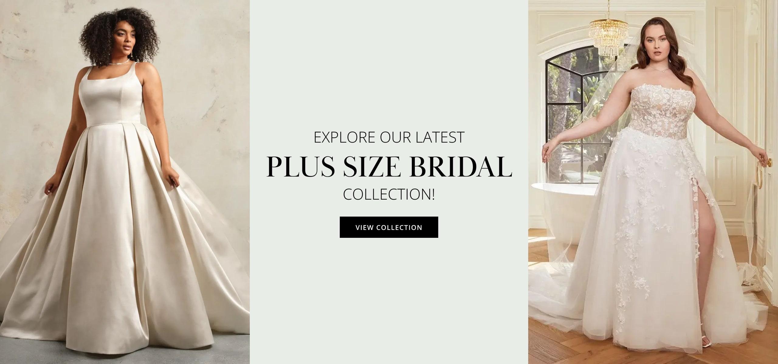 fall 2024 plus size bridal banner