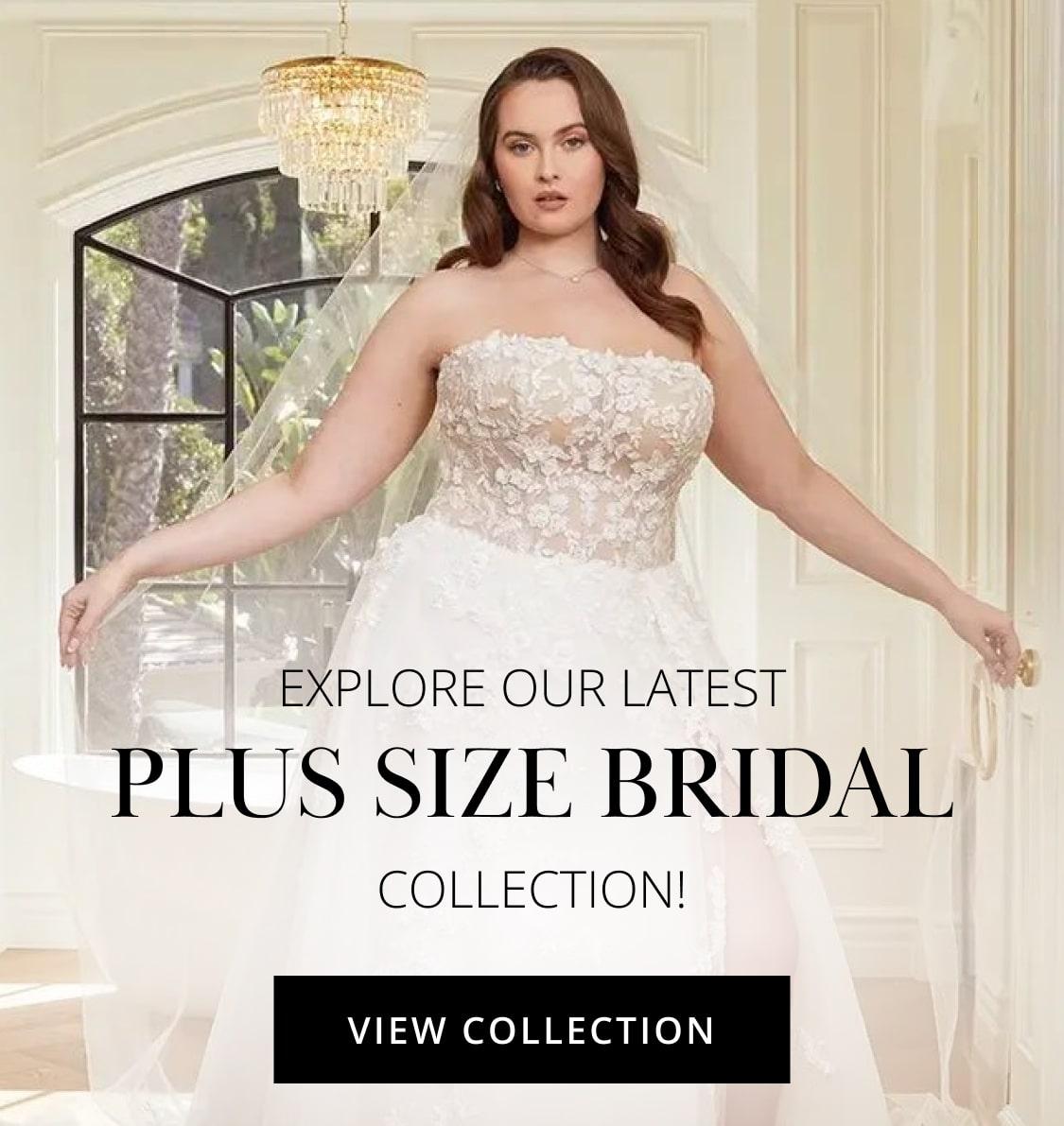 fall 2024 plus size bridal banner