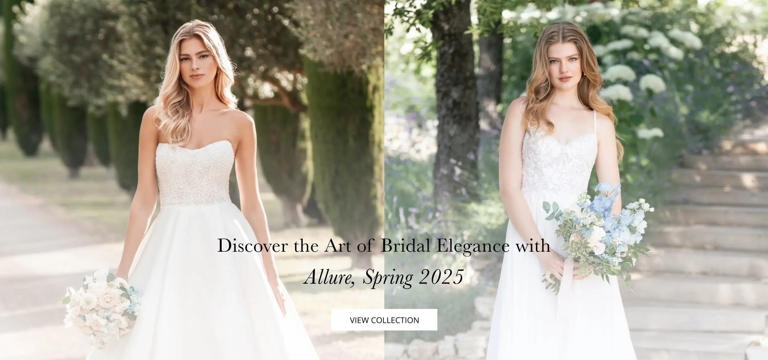 allure spring 2025 banner